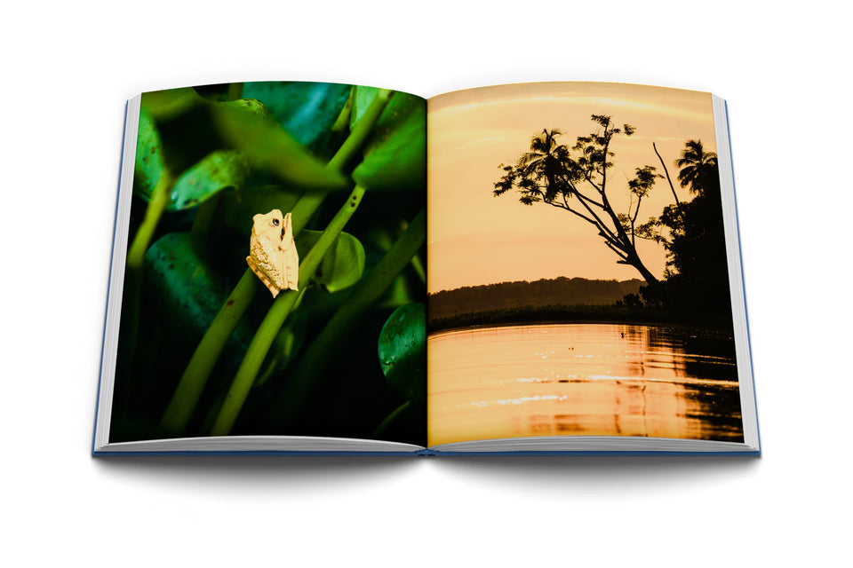 Libro abierto con una rana entre hojas verdes y un atardecer sobre un río