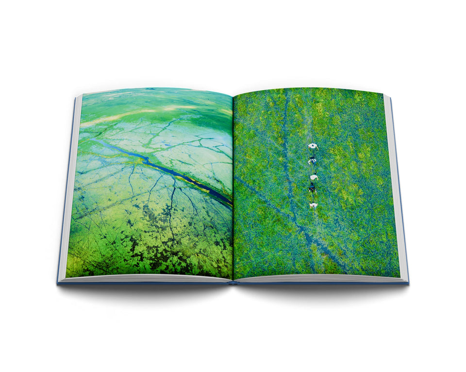 Libro abierto con un paisaje verde de los llanos